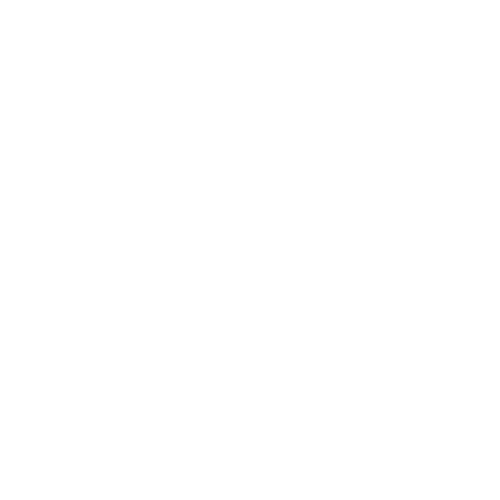 Momo Prints Express